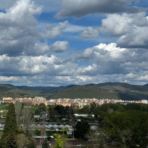 Transport a car to Montana